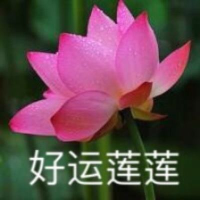 人民网评：网络佳作润心田，璀璨微光映华章